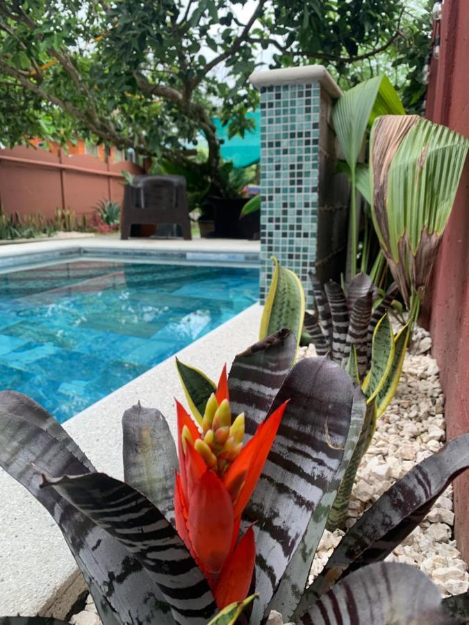 Villa Jade, La Fortuna Downtown Екстериор снимка